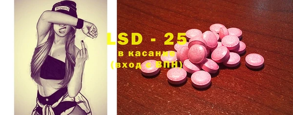 ECSTASY Богданович