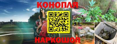 наркотики Будённовск