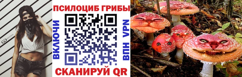 Галлюциногенные грибы мицелий  Клинцы 