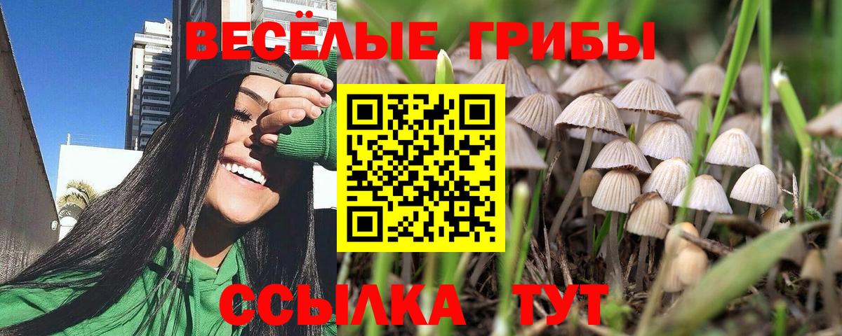 Галлюциногенные грибы Magic Shrooms Клинцы